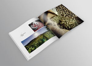 品味巔峰，源自純粹——帝芬諾高端精品咖啡產(chǎn)品宣傳畫冊(cè)